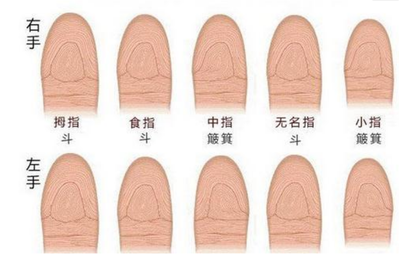 手指上的螺真的可信吗手上的螺是真的吗