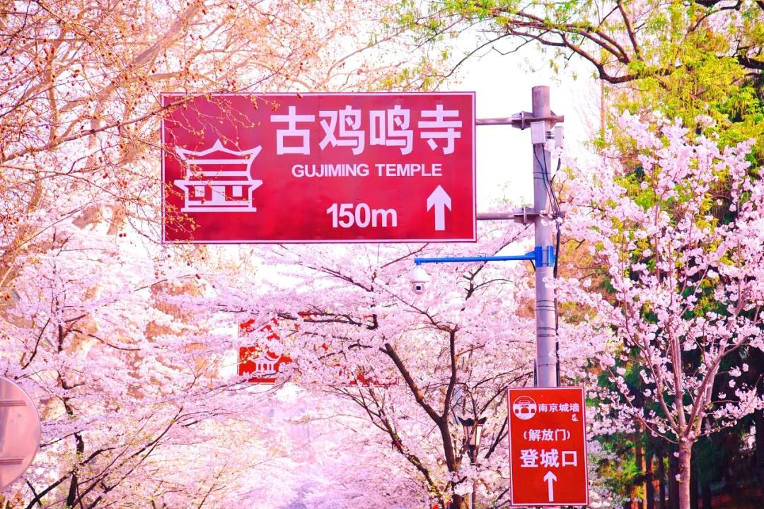 3月最值得去的绝美旅行地,是时候安排一下自己的旅行清单啦