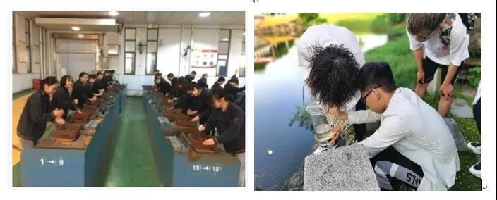 升学清华、复旦，入职百度、腾讯！这个“硬核”院系：本科生高质量就业！