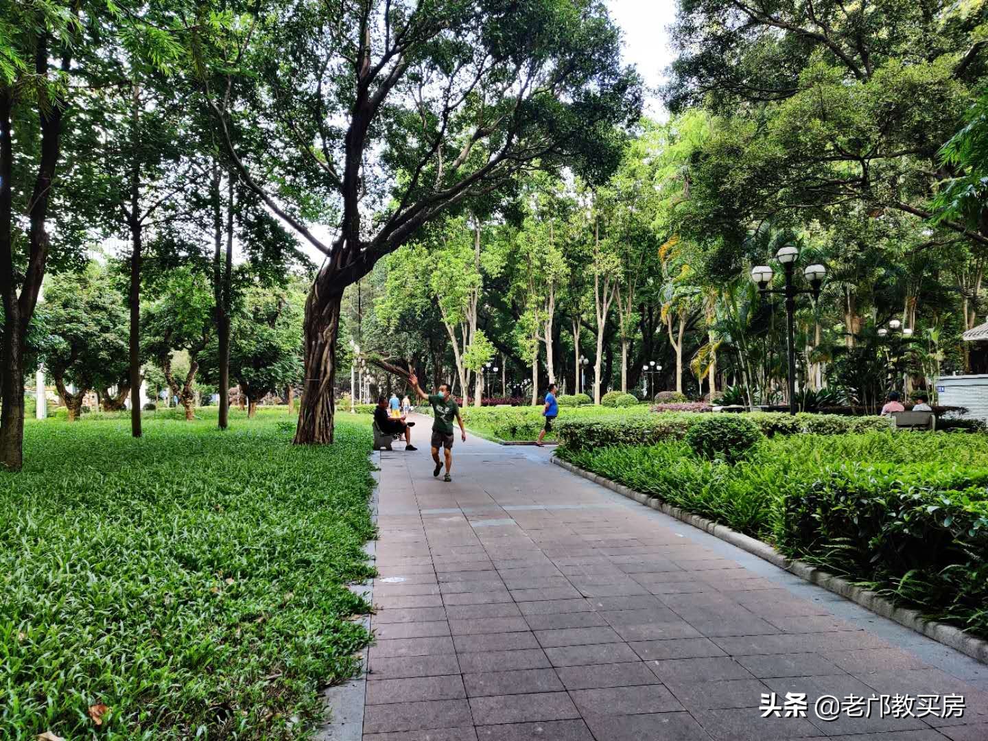 越秀顶级学位隐世好房，居然不到500万？