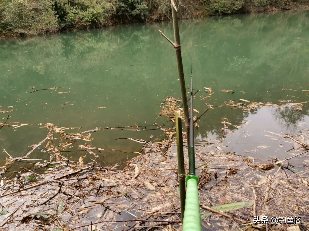 浅谈鱼竿支架的正确选择(浅谈鱼竿支架的正确选择是)
