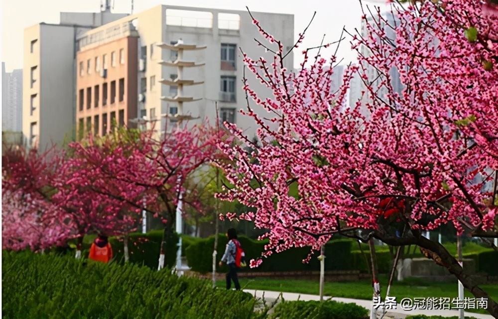 成都有哪些公办卫生学校-哪些卫校管理比较好？