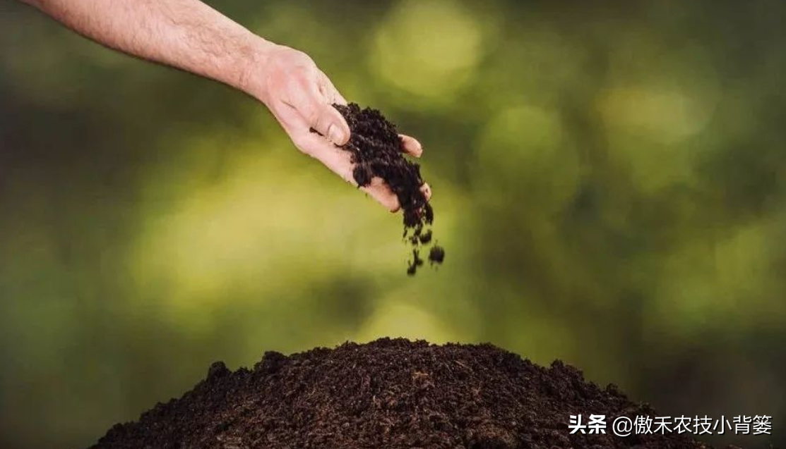 菌種購買,菌種購買網(wǎng)站
