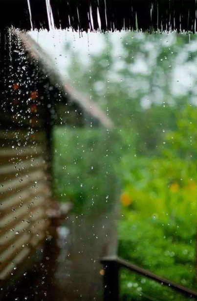 「诗词鉴赏」梅雨季节​，一起欣赏美丽的梅雨诗词