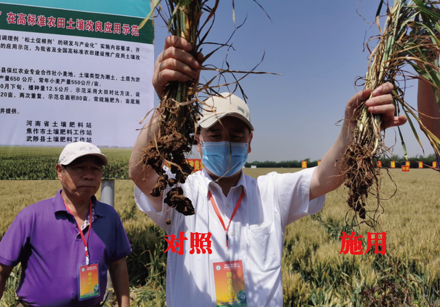 土壤問題，需要引起更多人的關注