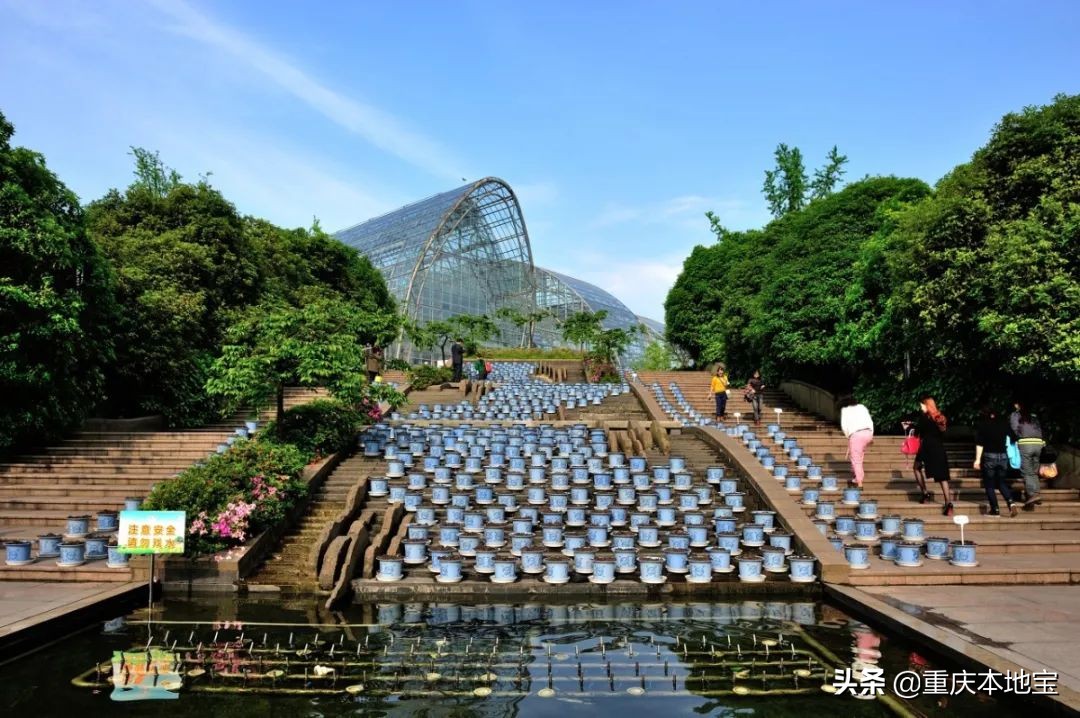 秋游去！重庆主城周边这些地方离得近又好耍！赏花、爬山、泡温泉
