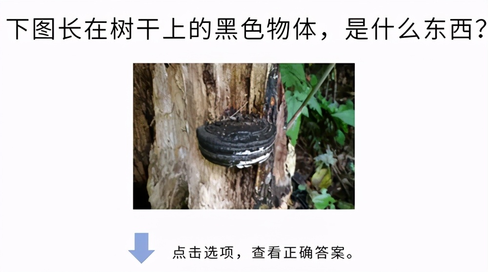 高考大作战！20道冷门又难解的试题等你来解答