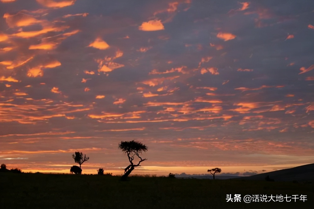 2014世界杯央视背景音乐(说说神圣罗马帝国音乐家莫扎特，以及电影《走出非洲》的背景音乐)