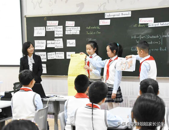 成都武侯区6所优质私立小学盘点！（附学费）