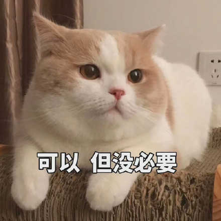 猫咪表情包：可以但没必要，有必要但不可以