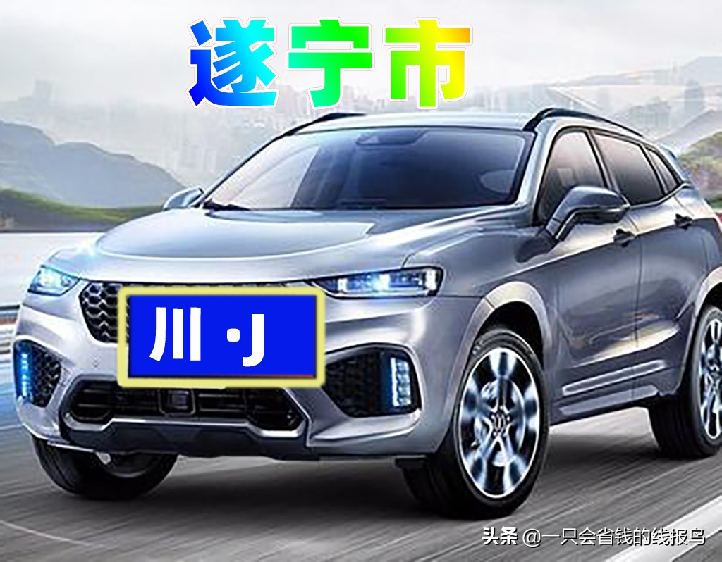 å››å·�çœ�æ±½è½¦ç‰Œç…§å&shy;—æ¯�æ�’åº�