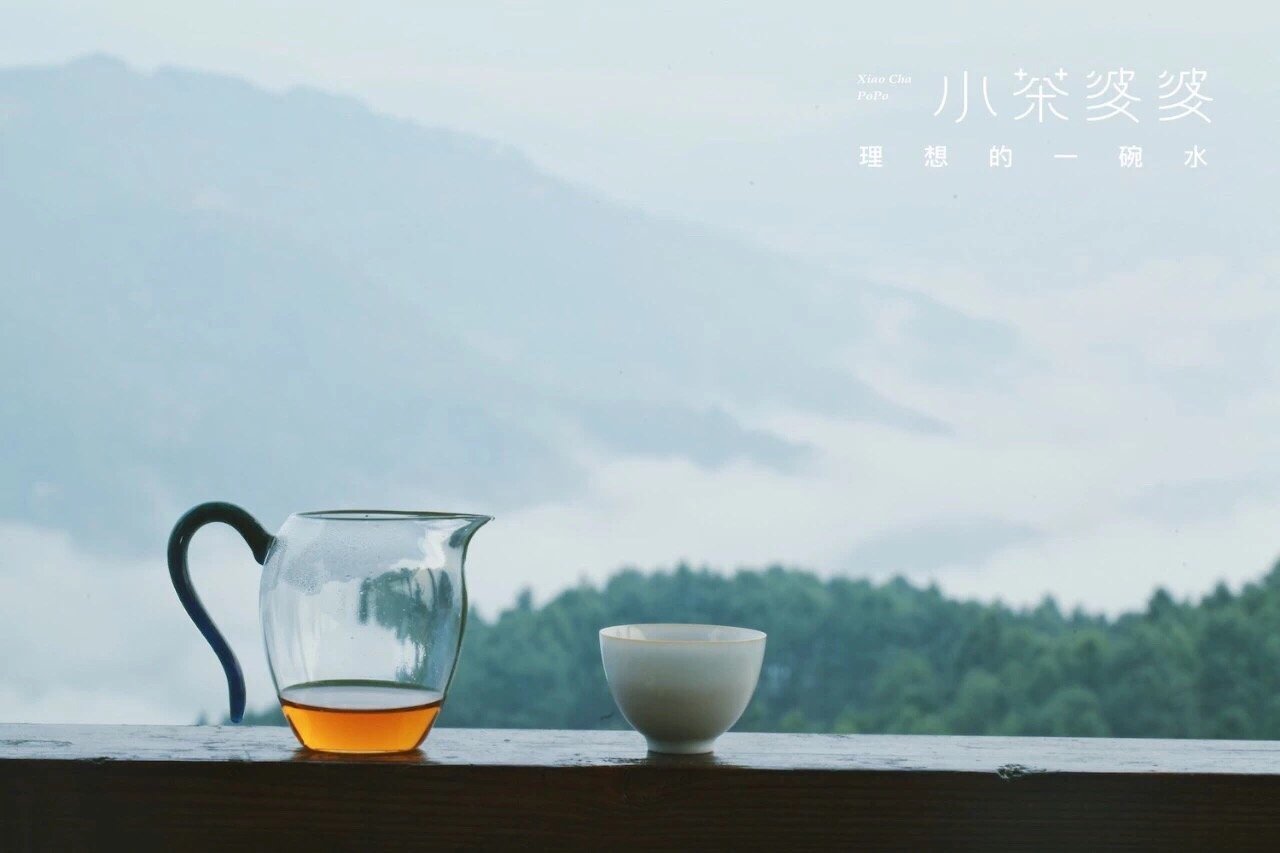 寻香景迈 | 景迈山是云南最美的茶山，云海养心，姑娘养眼