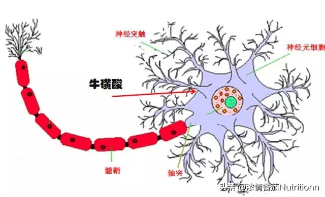 婴儿一段奶粉营养成分，国家做了哪些强制规定？