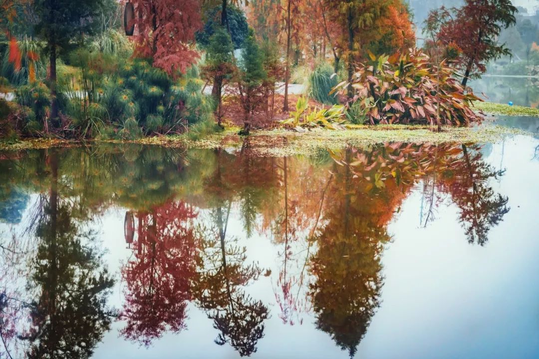 有一种思念，叫天人永隔：这16句痛心诗词，让你想起了谁？