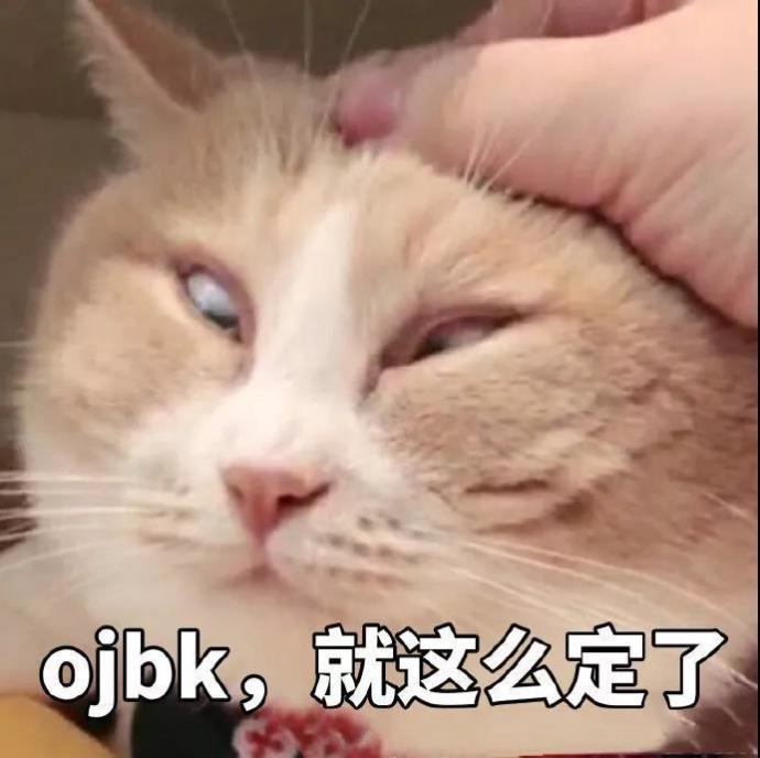 猫咪表情包OK系列：我觉得OK