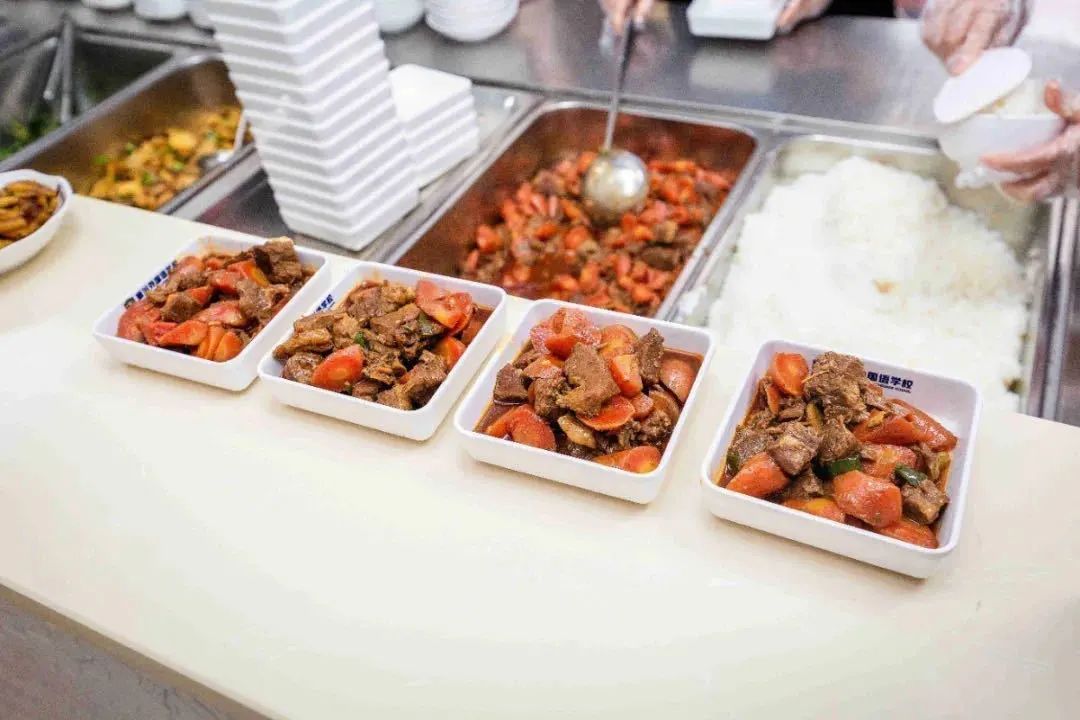 城北高端私立学校！新川vs巴德，选哪所更明智？