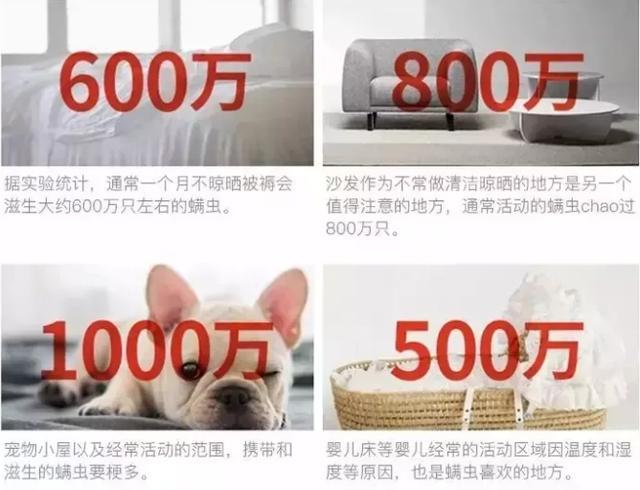 原来螨虫最怕的不是暴晒，床上放一些“花椒”，让螨虫消失