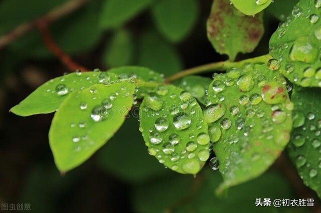 二十四节气之白露典雅古诗六首：天高白露下，露从今夜白