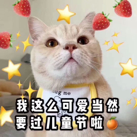 猫咪六一儿童节表情包合集