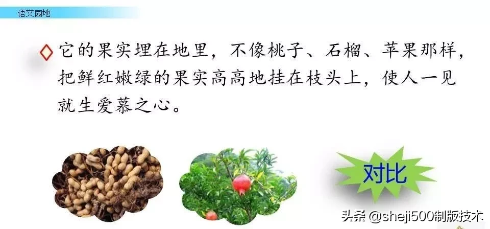 统编版语文五年级上册教材课后习题参考答案，收藏学习