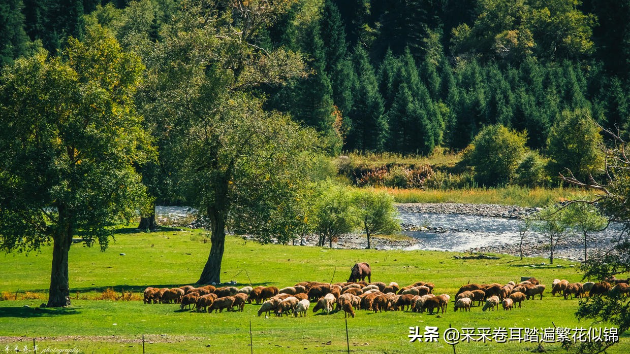 自驾新疆，夏秋伊犁怎么玩？快跟我云游发掘深度旅行小众目的地