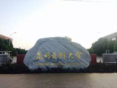 录取分数不高，就业率却很高的4所医科大学，中等考生不容错过