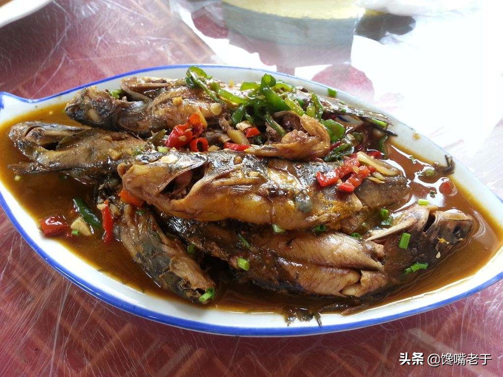 十月这5种海鲜适合常吃，味道鲜美还不贵，关键营养还极高
