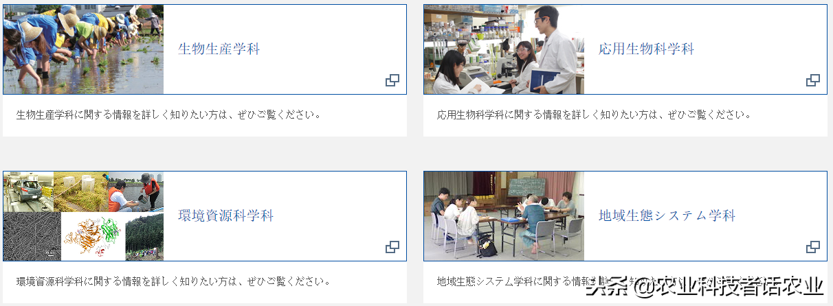 中国农大，荷兰农大，美国农大，日本农大，谁是世界第一农大