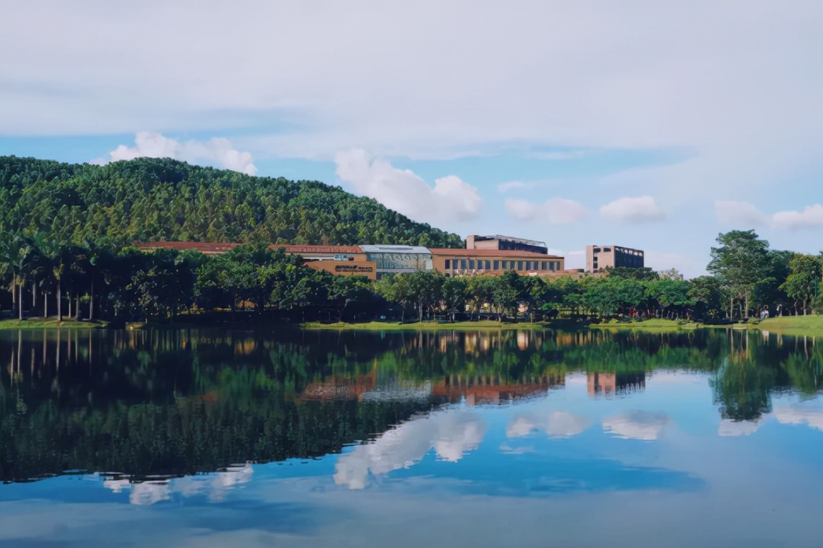 教育部批准，这4所大学已经“停办”，学生还在，学校却没了