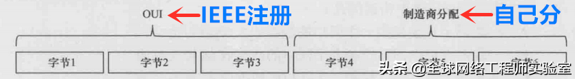 Mac地址查询方法与以太网基础详解