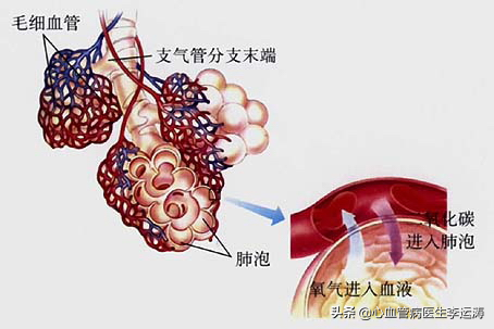 我感觉我们才是LA的心脏(请收好这份”心脏说明书“)