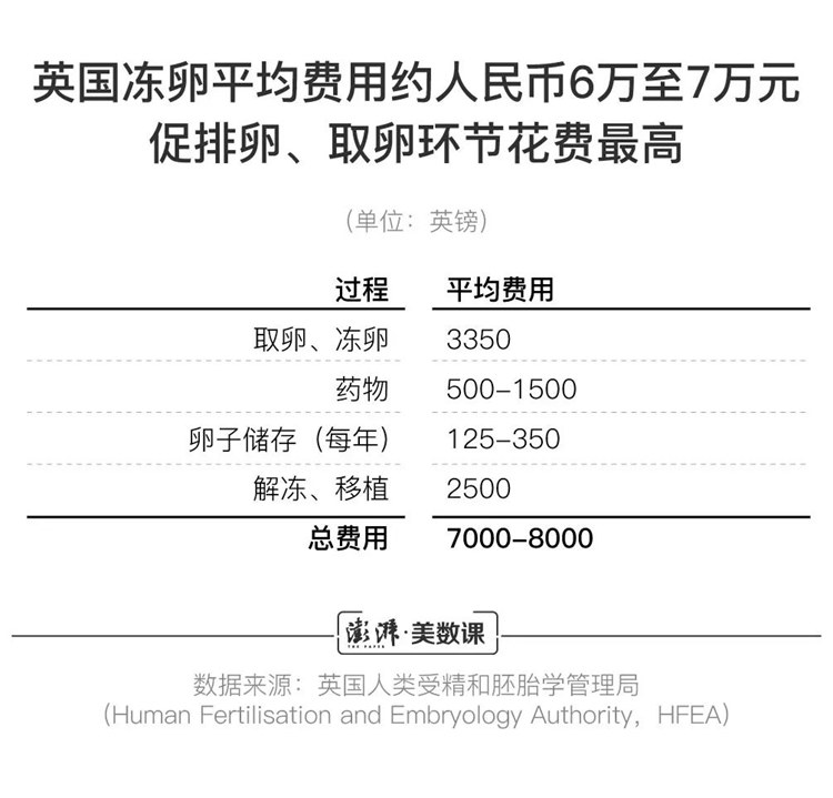 “我”想冻卵，冷冻的卵子，真的是女性生育的“防腐剂？