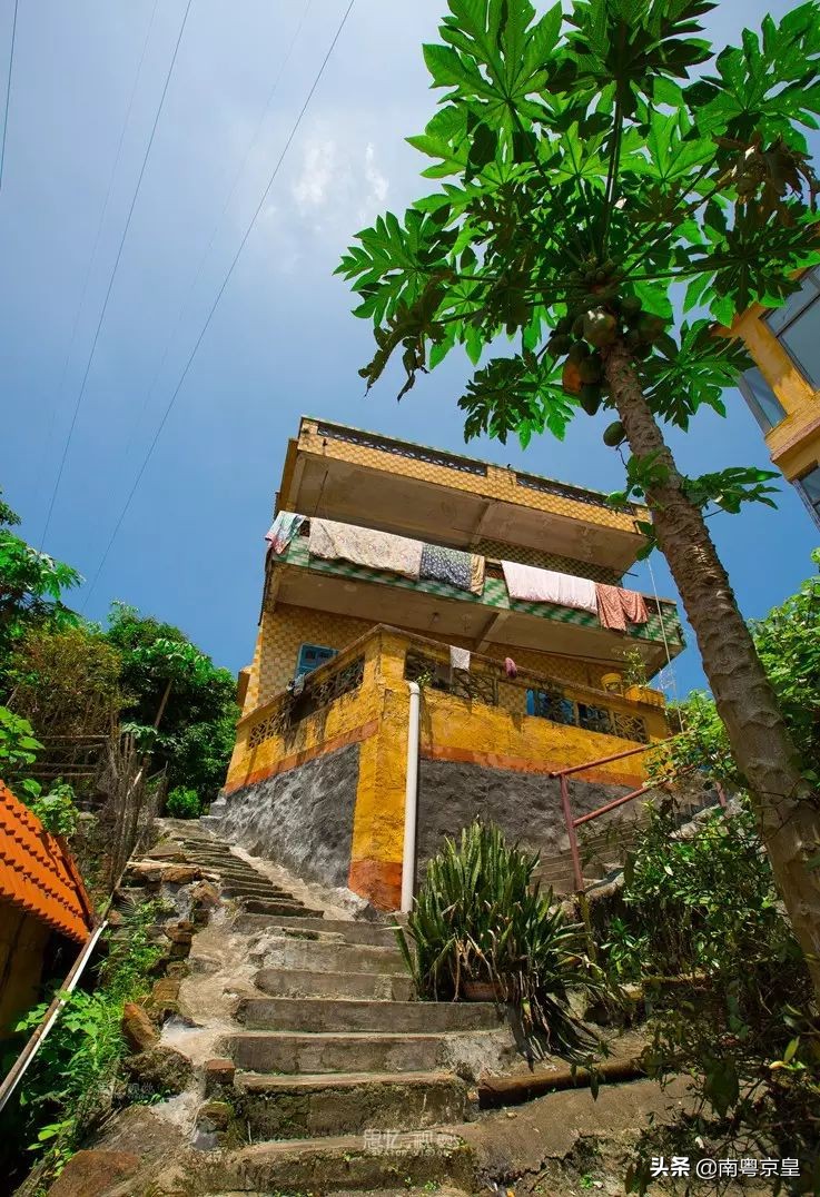 清远北江河边有个小渔村~白庙，还有个娃娃鱼养殖基地雪鲵庄园