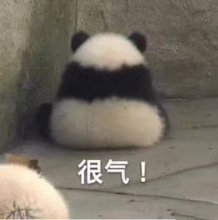 熊猫的表情包｜请注意你跟老子说话的态度