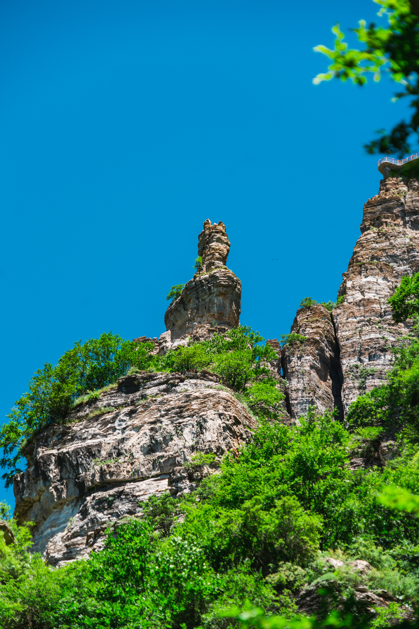 奇峰林立,云海如瀑!21℃的夏日白石山,一眼就已沦陷