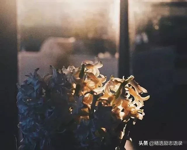 昨天，今天，明天