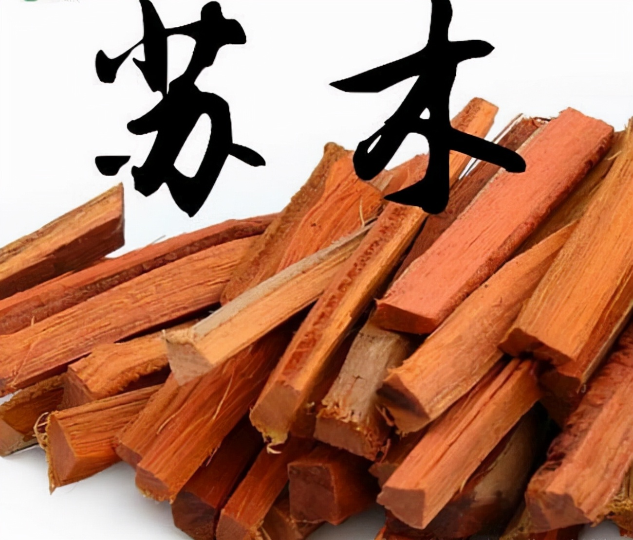 常见的木材分类你了解多少（附图）