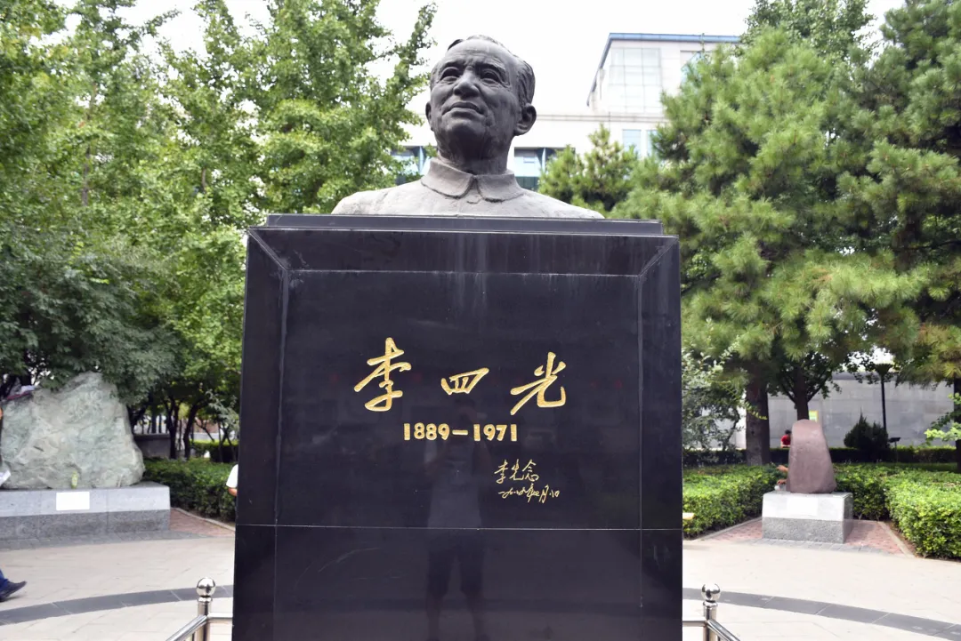 最常见的化石,许多人连名字都不会念