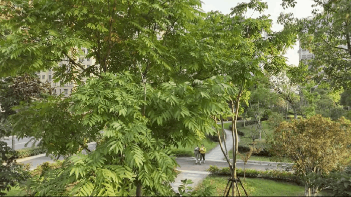 售价13888起，大疆发布了一台我买不起的无人机