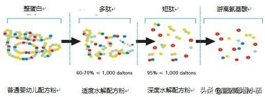 辅食过敏太可怕！如何预防辅食过敏？一岁内“辅食黑名单”请牢记