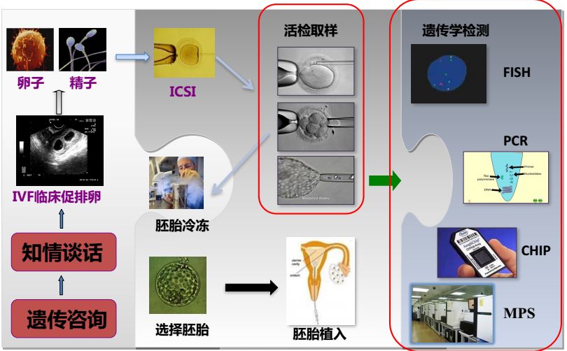 试管科普：什么是第三代试管婴儿？代数越高越好？可挑选性别吗？