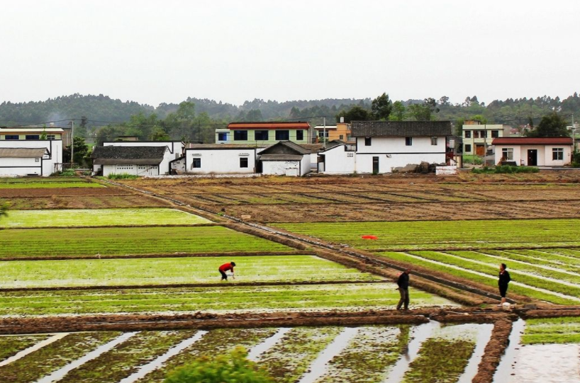 考上大学，要不要把户口迁到大学所在地，要提前做好准备