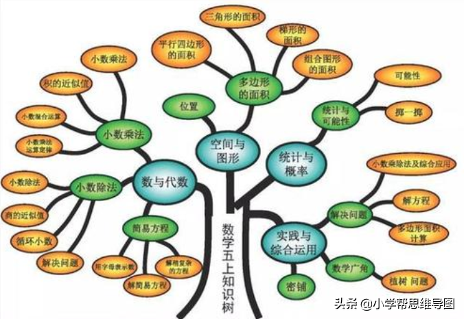 思维导图的10种类型小学学生常见的思维导图类型