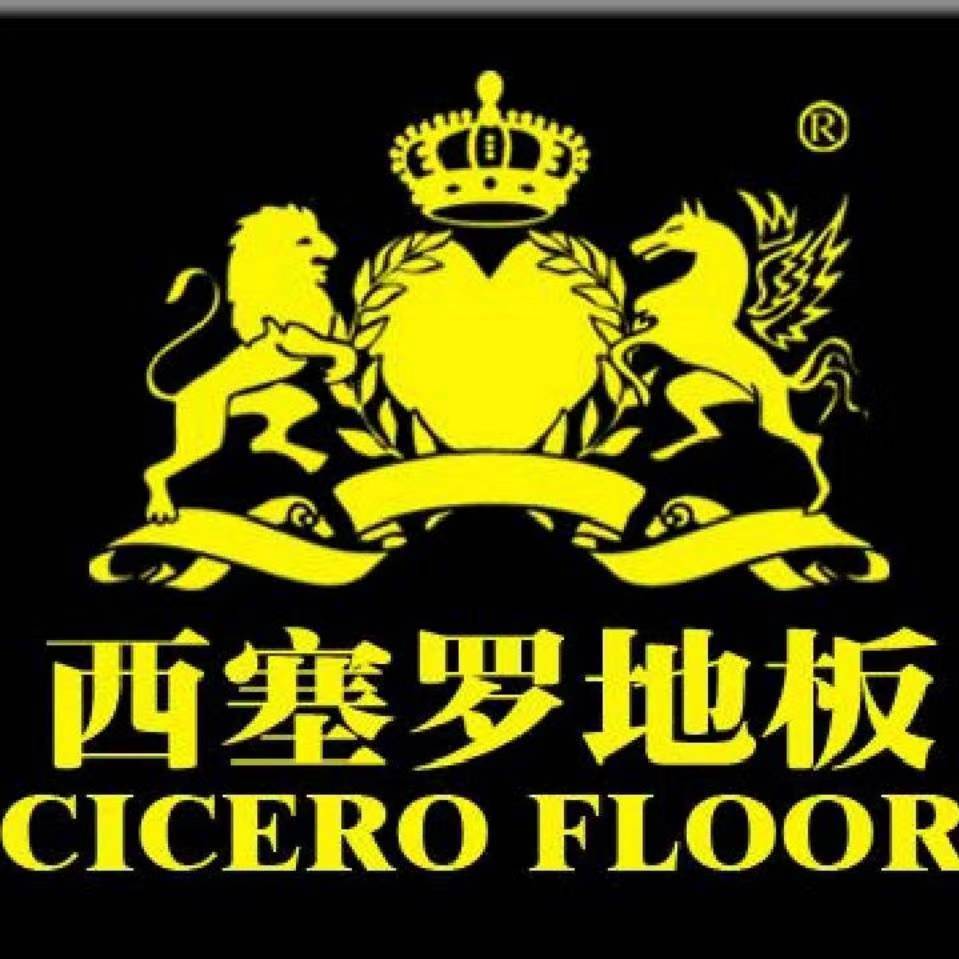 中國十大名牌木地板