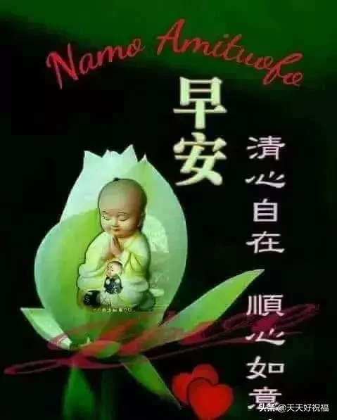 立秋后早晨好问候语录大全，立秋后早安暖心祝福语