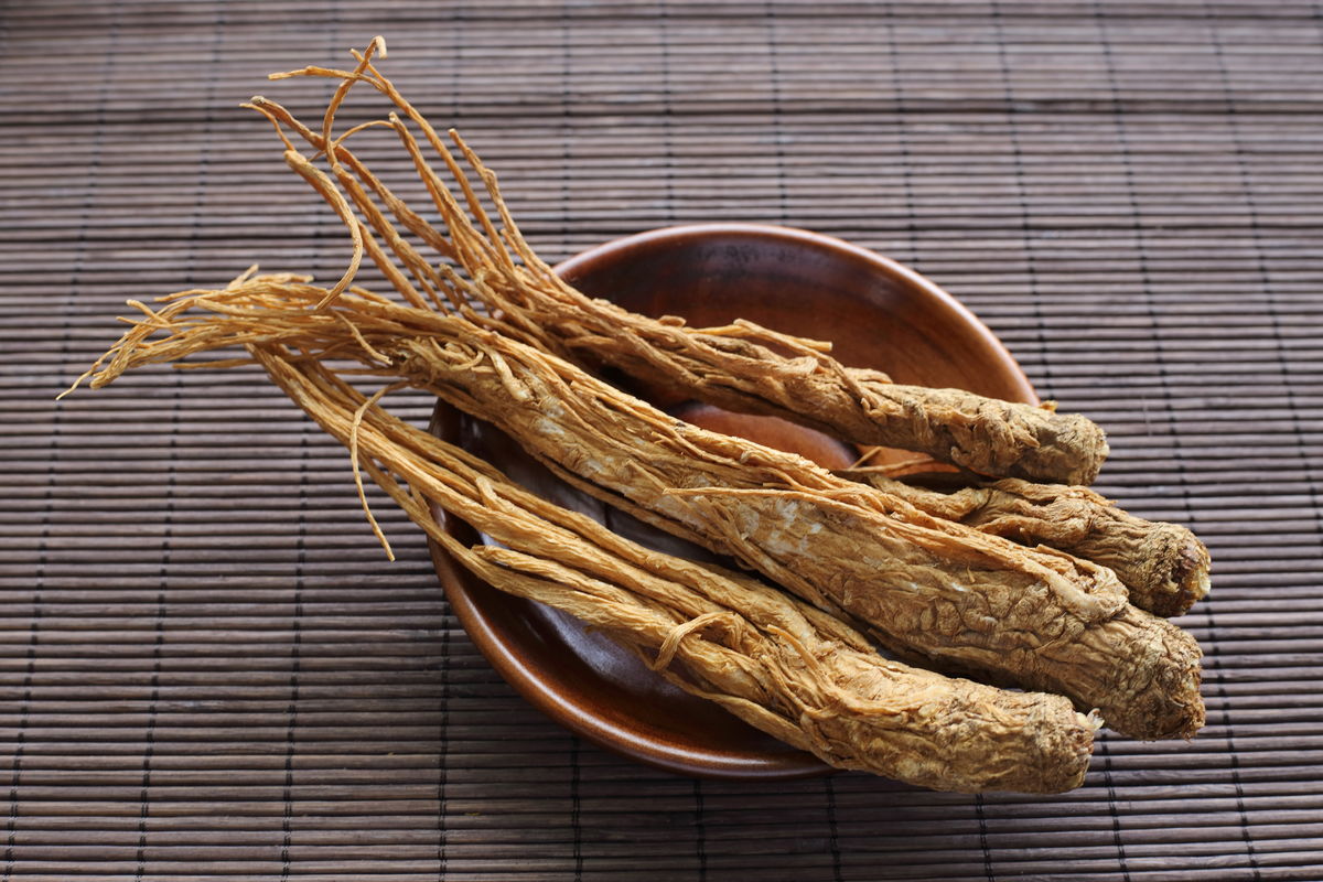 "知好色,则慕少艾"里的"艾"指的是什么?