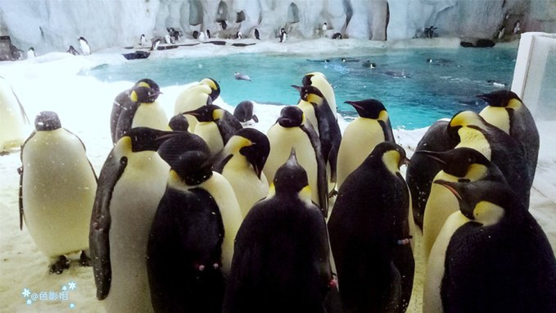 三天三夜欢乐长隆之旅（附攻略）