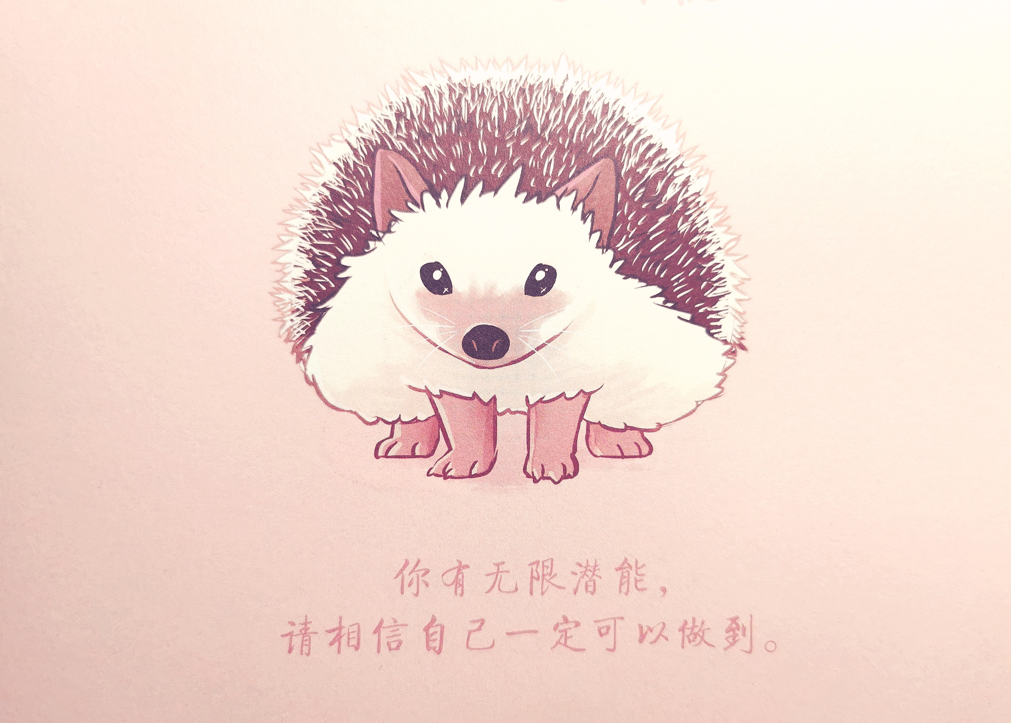 《柔软的刺猬》：用温暖美好的力量疗愈自我