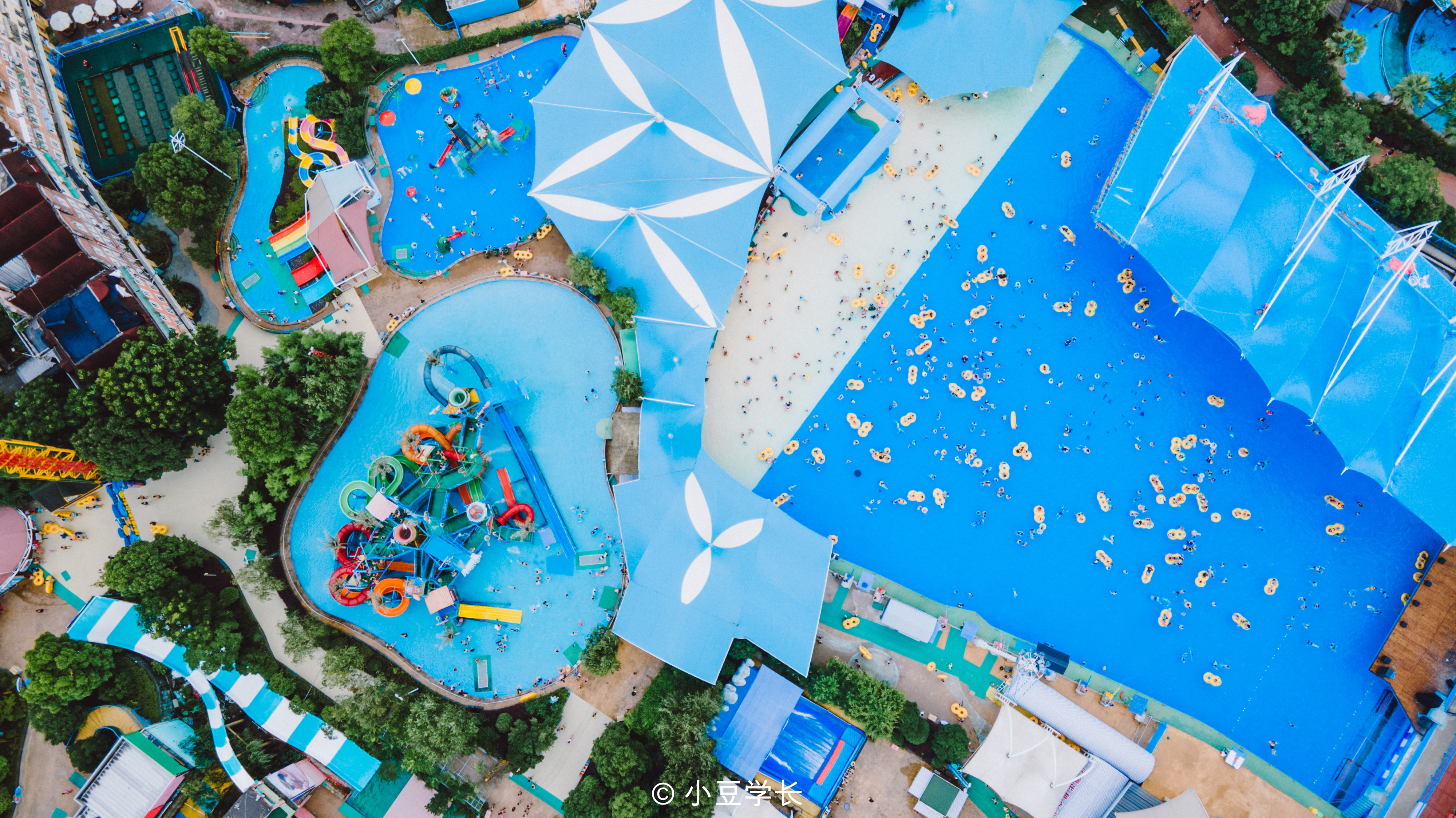 夏天去水上乐园玩好不好?