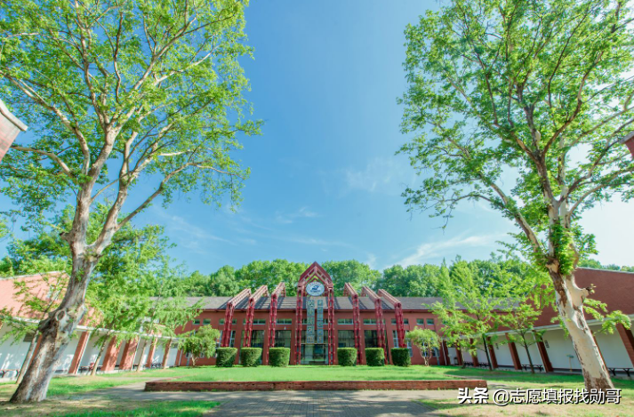 赫赫有名的四大工学院，一所牛气，另一所凉凉！网友：你掉队了
